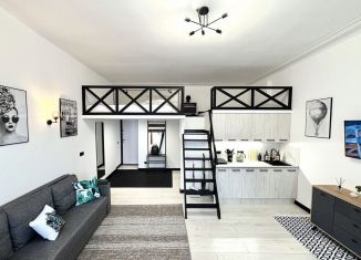 Сдам в аренду квартиру студию, 36 м2, Санкт-Петербург, Никольская площадь, 6