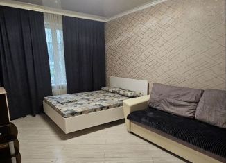 Сдача в аренду 1-ком. квартиры, 37 м2, Казань, улица Сабира Ахтямова, 1к1