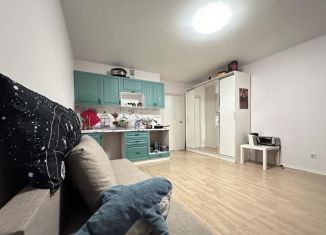 Продам квартиру студию, 29.1 м2, деревня Новое Девяткино, Главная улица, 12