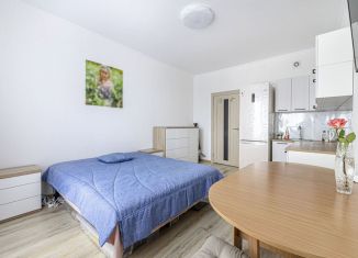 Продажа квартиры студии, 23.1 м2, Санкт-Петербург, Плесецкая улица