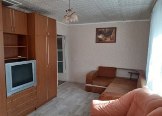 Аренда 1-комнатной квартиры, 30 м2, Пенза, улица Беляева, 2