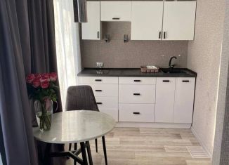 Продается 1-ком. квартира, 30.1 м2, Березники, Юбилейная улица, 53