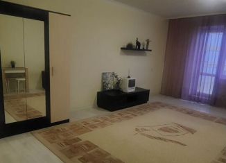 Аренда квартиры студии, 39 м2, Новосибирск, улица Виктора Шевелёва, 24