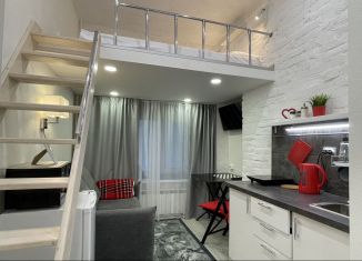 Сдам квартиру студию, 14 м2, Санкт-Петербург, Дегтярный переулок, 14/5