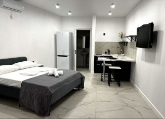 Квартира в аренду студия, 30 м2, Сочи, Волжская улица, 27