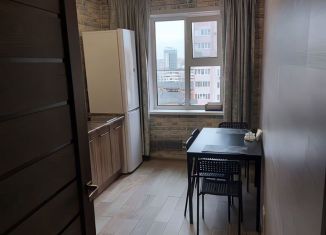 Аренда 1-комнатной квартиры, 51.1 м2, Казань, Меридианная улица, 8