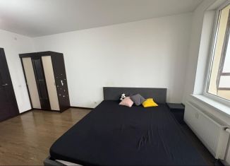 Квартира на продажу студия, 24.5 м2, Санкт-Петербург, ЖК Солнечный Город, улица Лётчика Лихолетова, 14к2