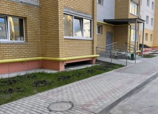 Продажа двухкомнатной квартиры, 55 м2, Лиски, улица Титова, 34/1