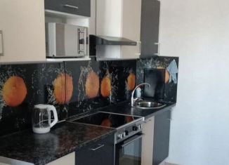 Сдача в аренду 1-ком. квартиры, 36 м2, посёлок Парголово, улица Архитектора Белова, 9