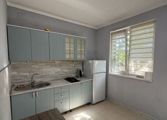 1-ком. квартира в аренду, 40 м2, Сочи, Малая улица, 2А