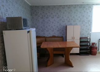 Сдаю в аренду квартиру студию, 38 м2, Новосибирск, улица Лобачевского, 2/3, метро Заельцовская