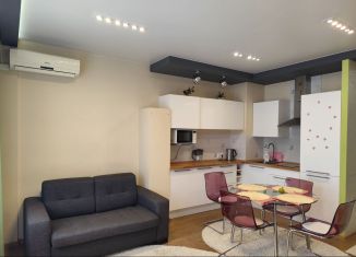 Сдача в аренду квартиры студии, 33 м2, Новосибирск, улица Дуси Ковальчук, 238, метро Заельцовская