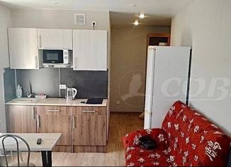 Сдается квартира студия, 28 м2, Тобольск, 15-й микрорайон, 42