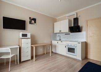 Квартира на продажу студия, 21.2 м2, посёлок Парголово, Заречная улица, 15к1, ЖК Жили-Были