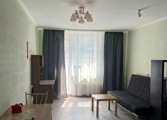 Сдаю квартиру студию, 37 м2, Новосибирск, улица Дуси Ковальчук, 378Б, метро Заельцовская