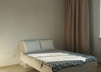 Сдам квартиру студию, 27 м2, Новосибирск, 2-я Воинская улица, 53, метро Золотая Нива