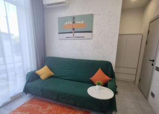 1-комнатная квартира в аренду, 32 м2, Сочи, Тополиная улица, 39