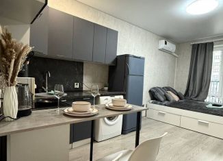 Сдача в аренду квартиры студии, 24 м2, Республика Башкортостан, улица Энтузиастов, 15