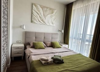 Аренда квартиры студии, 35 м2, Сочи, переулок Горького, 24к1