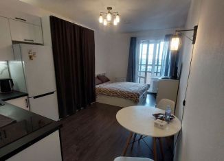 Сдается квартира студия, 28 м2, Санкт-Петербург, проспект Ветеранов, Красносельский район