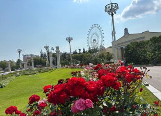 Квартира на продажу студия, 11 м2, Москва, улица Цандера, 7, метро ВДНХ