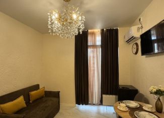 Сдаю в аренду 1-ком. квартиру, 16 м2, Сочи, Ясногорская улица, 16/2к3