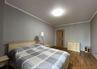 Сдам в аренду 1-ком. квартиру, 42.3 м2, Санкт-Петербург, улица Есенина, 1к1