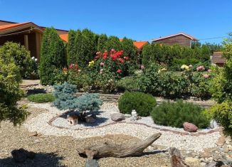 Дом в аренду, 36 м2, Краснодарский край, Молодёжная улица, 56