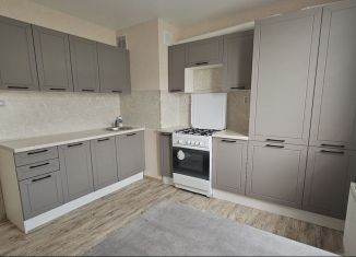 1-комнатная квартира в аренду, 35 м2, деревня Куюки, Школьная улица, 9