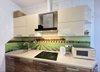 Сдается в аренду 1-ком. квартира, 34 м2, Сочи, Параллельная улица, 9лит3