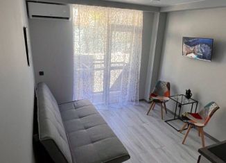 Сдача в аренду квартиры студии, 23 м2, Сочи, садоводческое товарищество Лысая Гора, 88/2В