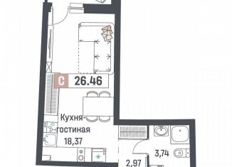 Квартира на продажу студия, 26.5 м2, Мурино, ЖК Авиатор
