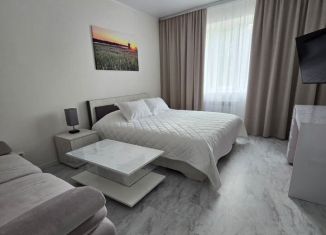 Сдается 1-комнатная квартира, 39 м2, Йошкар-Ола, улица Куйбышева, 59, 6-й микрорайон