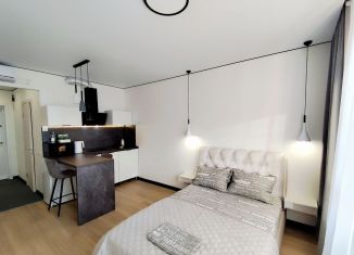 Квартира в аренду студия, 24 м2, Калуга, улица 65 лет Победы, 6