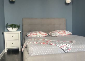 Сдаю в аренду 1-ком. квартиру, 52 м2, Саратов, улица имени И.В. Мичурина