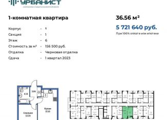 Продажа 1-комнатной квартиры, 36.6 м2, Мурино, Ручьёвский проспект, 6