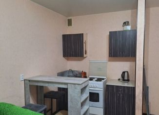 Сдается в аренду квартира студия, 30 м2, Благовещенск, Октябрьская улица, 221