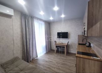 Сдам 1-комнатную квартиру, 30.6 м2, Новосибирск, улица Василия Клевцова, 3, метро Заельцовская