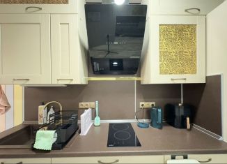 Сдается 2-ком. квартира, 44 м2, Сочи, улица Камо, 70