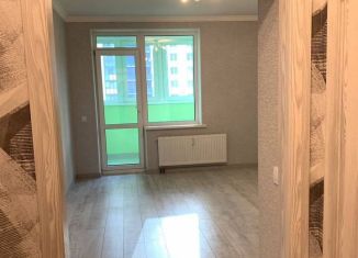 Продаю квартиру студию, 20.6 м2, Мурино, Воронцовский бульвар, 16к1, ЖК Краски Лета