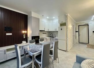 Сдам квартиру студию, 24.2 м2, Краснодар, Душистая улица, 30к3, микрорайон Молодёжный