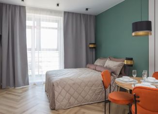 Сдача в аренду квартиры студии, 30 м2, Карелия, Казарменская улица, 23