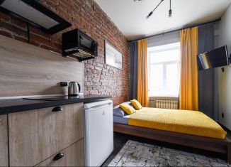 Сдам квартиру студию, 20 м2, Санкт-Петербург, улица Калинина, 10