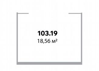 Продается помещение свободного назначения, 18.56 м2, Санкт-Петербург, Ириновский проспект, 34, муниципальный округ Ржевка