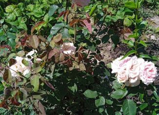 Гараж в аренду, Орёл, улица Металлургов