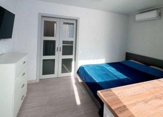 Сдается квартира студия, 27 м2, Сочи, Дагомысская улица, 19