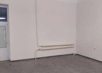 Помещение свободного назначения в аренду, 145 м2, Орёл, улица Чапаева, 7, Заводской район