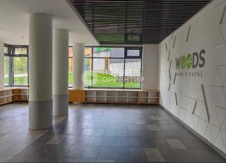 Однокомнатная квартира на продажу, 47 м2, посёлок Совхозный, Разливная улица, 50к4