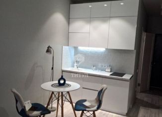 Сдача в аренду квартиры студии, 25 м2, Ростов-на-Дону, улица Нансена, 103/1/4