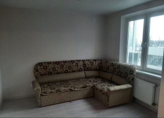 Сдается квартира студия, 30 м2, Ростов-на-Дону, улица Юрия Дубинина, 9